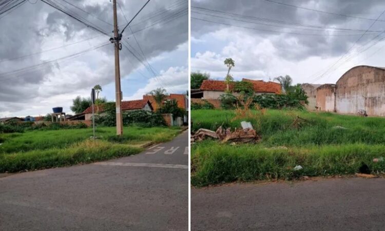 Justiça do Trabalho leiloa fazendas, chácaras, terrenos, carros e motos com até 50% de desconto e opção de parcelamento