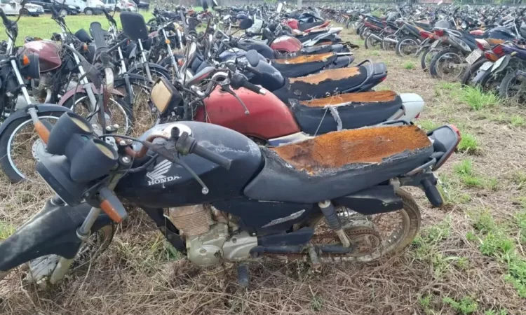 Leilão de 9.960 Veículos Oportunidade para Empresas de Reciclagem e Siderurgia