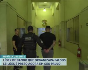 site de leilão falso