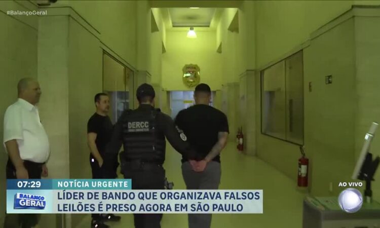 site de leilão falso