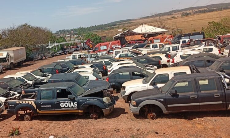 Governo de Goiás promove leilão de 185 veículos