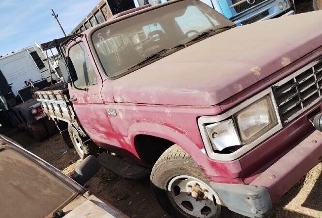 leilão do tribunal de justiça tem D 20