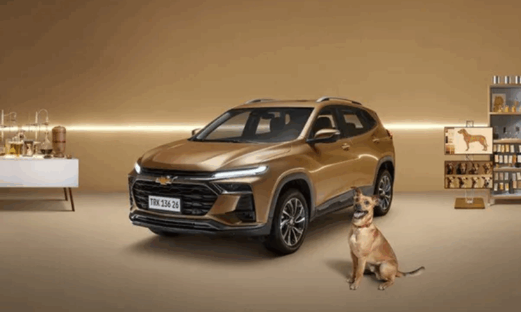 Leilão Chervrolet Tracker em homenagem ao cachorro caramelo já passa dos 250 mil reais