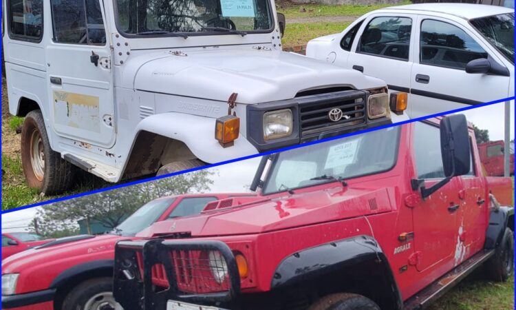 Último Leilão do Ano Governo do Paraná Oferece 302 Veículos com Lances a Partir de R$ 632