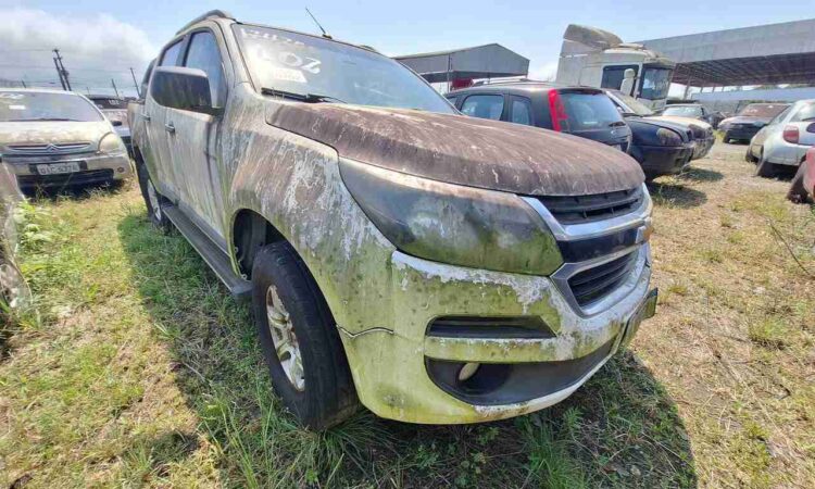 Litoral de SP realiza megaleilão com mais de 1,2 mil veículos apreendidos