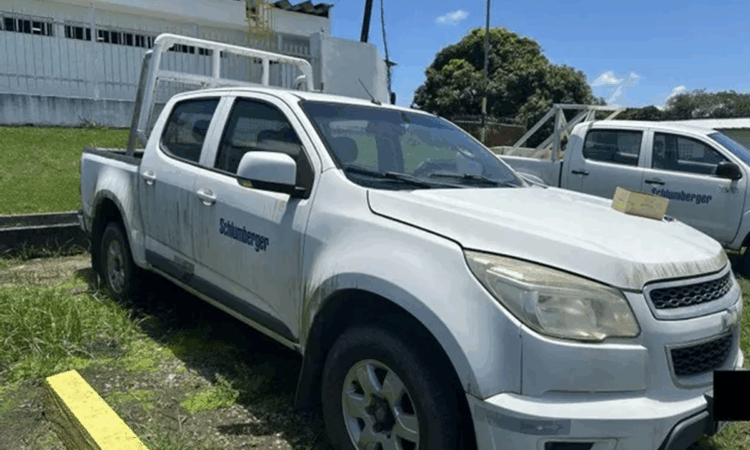 Leilão de empresa ambiental tem caminhonetes 4x4 diesel e caminhão com lances a partir de R$ 25 mil