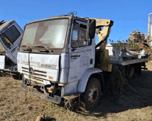 Caminhão Mercedes com Munck e Van Fiat Docato por 7 mil reais no leilão do Agro