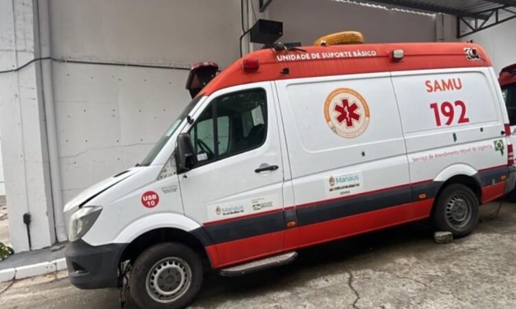 Amazonas em Leilão: Prefeitura de Manaus Vende 66 Lotes