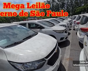 LEILÃO de VEÍCULOS do GOVERNO de SÃO PAULO