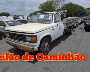 Leilão de caminhão governo de São paulo