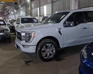 Leilão em São Paulo tem caminhonetes Ford F150, Hilux por R$ 1.800, caminhão com Munck e tratores por 3 mil reais