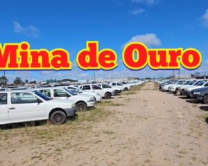 Leilão de Ouro O Guia Definitivo para Comprar Seu Primeiro Carro (e Economizar R$ 10.000!)