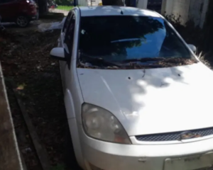 Janeiro terá cinco leilões eletrônicos com veículos, móveis e equipamentos; veja datas e oportunidades