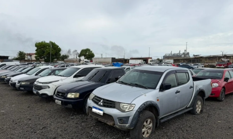 Leilão do Detran-RR Terá 230 Lotes de Veículos na Próxima Quarta-feira