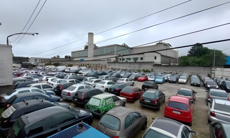 leilão der são paulo