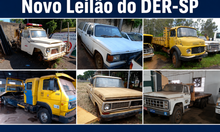 Caminhão Ford por R$ 1 Mil e Clássicos Leilão do DER-SP