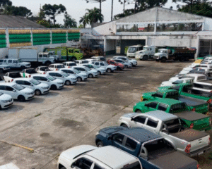 Leilão de Veículos Governo do Paraná Tem Carros